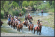 Marmaris Horse Safari